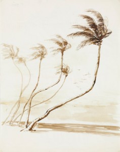Palmiers au vent, Palm Beach