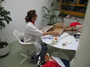 Fondation Alejo Vidal-Quadras