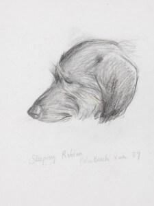 Sleeping Robinapencil and colored pencil, 1989